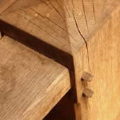 Holznagel